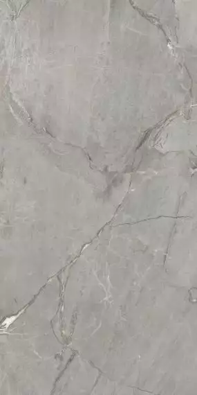 Amedio Grey Glossy 60x120