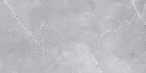 Amphora Light Grey 60x120