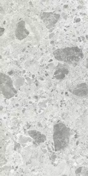 Amsterdam Grey Polished Rect. 60x120