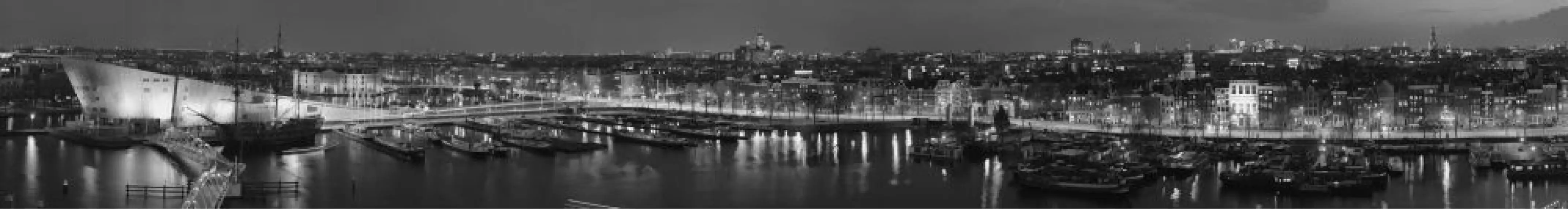 Amsterdam Panorama стекл. (3) 20х150