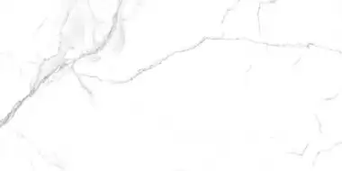 Andrea grey PG 02 lappato 60х120