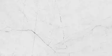 Angel White Polished 60x120