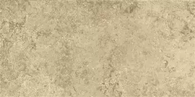 Anika Olive 30x60