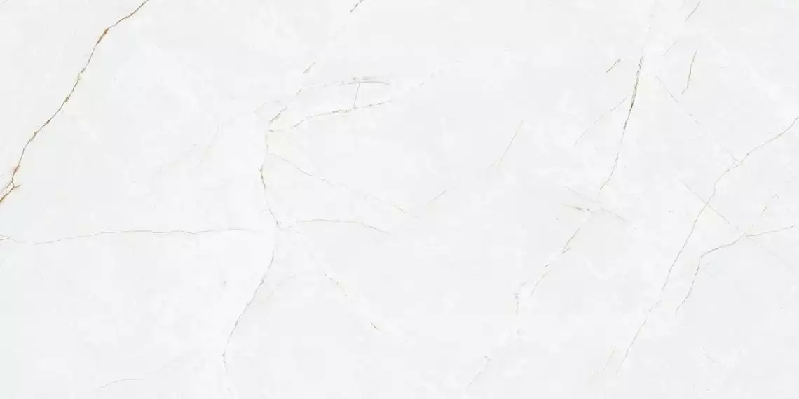 Anil White Nano Polished 59.7x119.8