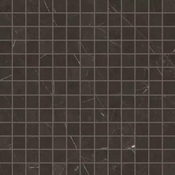 Anima Graphite Composizione F Lucidato 30*30