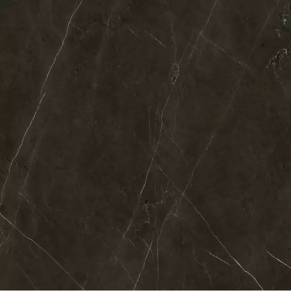 Anima Graphite Rett Lucidato 60*60*9,5