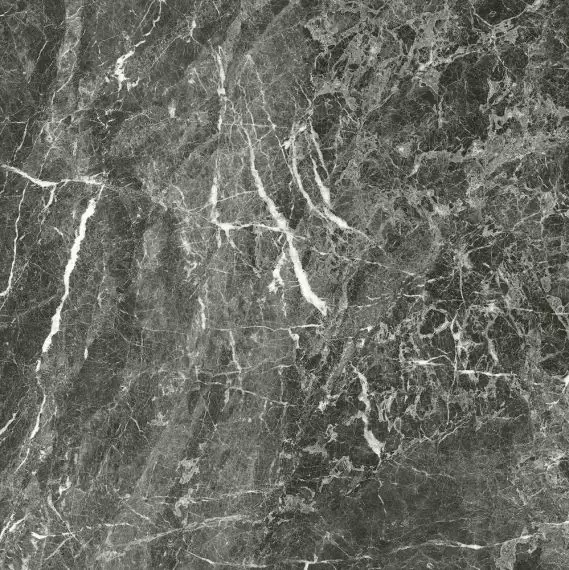 Anima Grey St Laurent Rett Lucidato 60*60