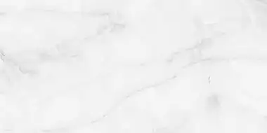 Antisky Grey light Polished 60x120