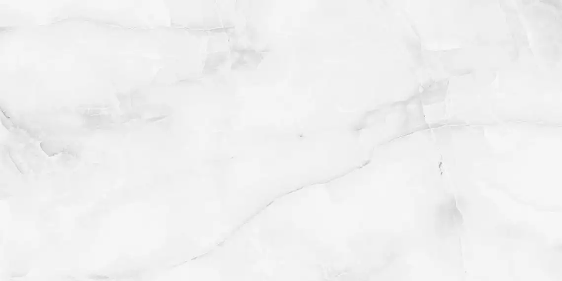 Antisky Grey light Polished 60x120