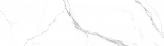 Apaune Statuario matt 80x240