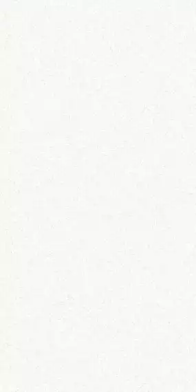 Aplpine White Polished  60х120
