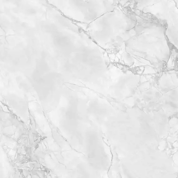 Arabescato Grey Glossy 80x80