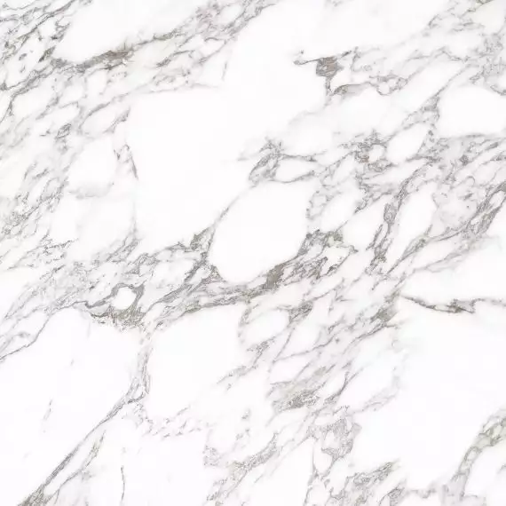 Arabescato Oscuro Elegance Polished 120х120