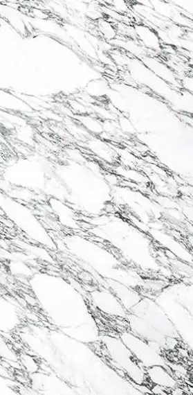Arabescato White Polished Mix 160x320