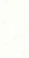 Aragon White 60*120