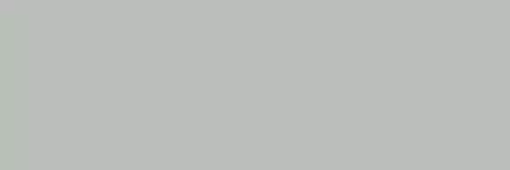 Arch. Grigio (Aalto New) MJ0A 10*30