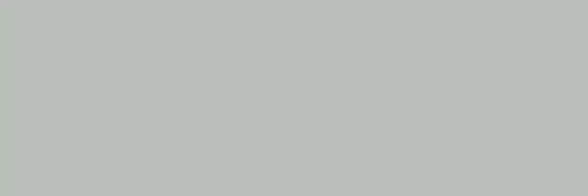 Arch. Grigio (Aalto New) MJ0A 10*30