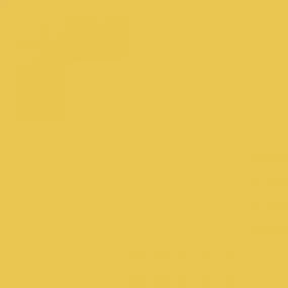 Arch. Ocra (Herrera)ME77 20*20