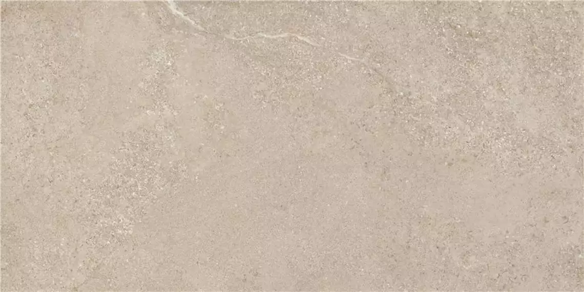 Arenite Natural Matt 60x120