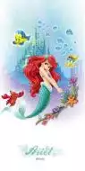 Ariel 30*60