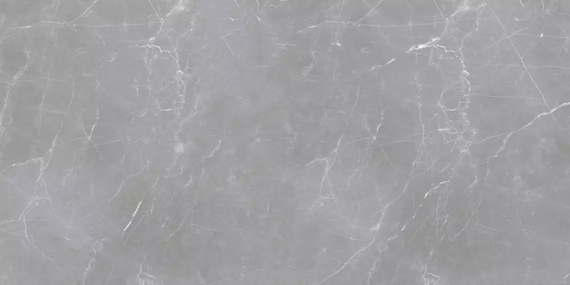 Arion Gray Dark 59.7х119.7
