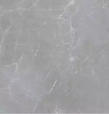Arion Gray Dark 59.7х59.7