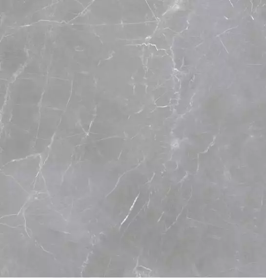 Arion Gray Dark 59.7х59.7