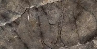 Arizona Green 120x60