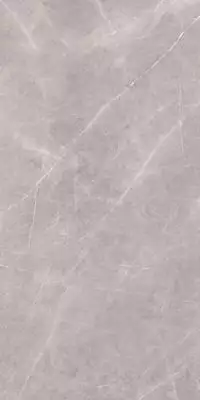 Armani Silver Polished Mix 160x320