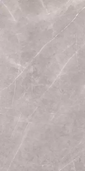Armani Silver Polished Mix 160x320