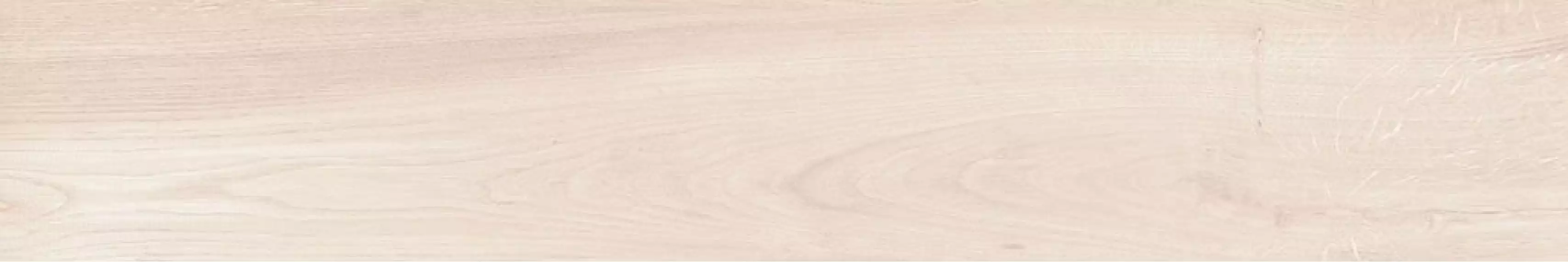 Aron Maple 20x120