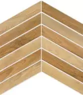 Arrow Cedar 8x40