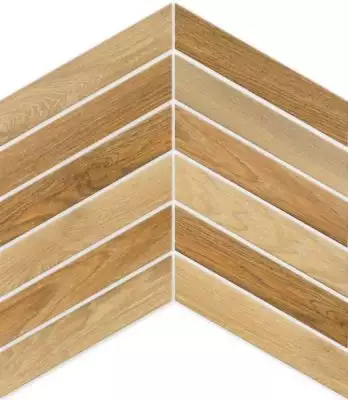Arrow Cedar 8x40