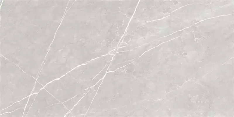 Artem Gris Glossy 6.5 mm 60x120