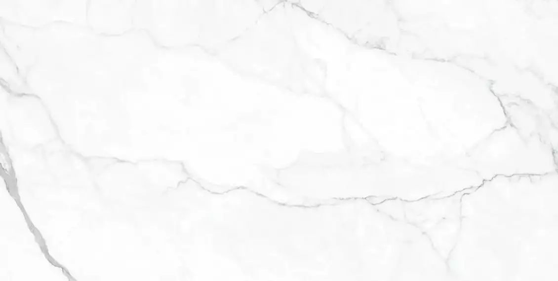 Artemisa Blanco Polished 60x120