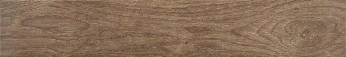 Asbury Forest 15x90