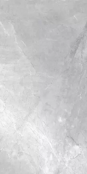 Asti Grey carving 60x120