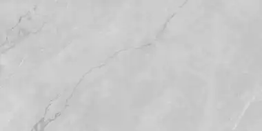 Astonia Silver Glossy Silver Line 60x120