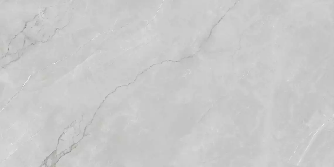 Astonia Silver Glossy Silver Line 60x120
