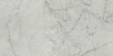 Atlantis Grey Pulido Rect. 60x120
