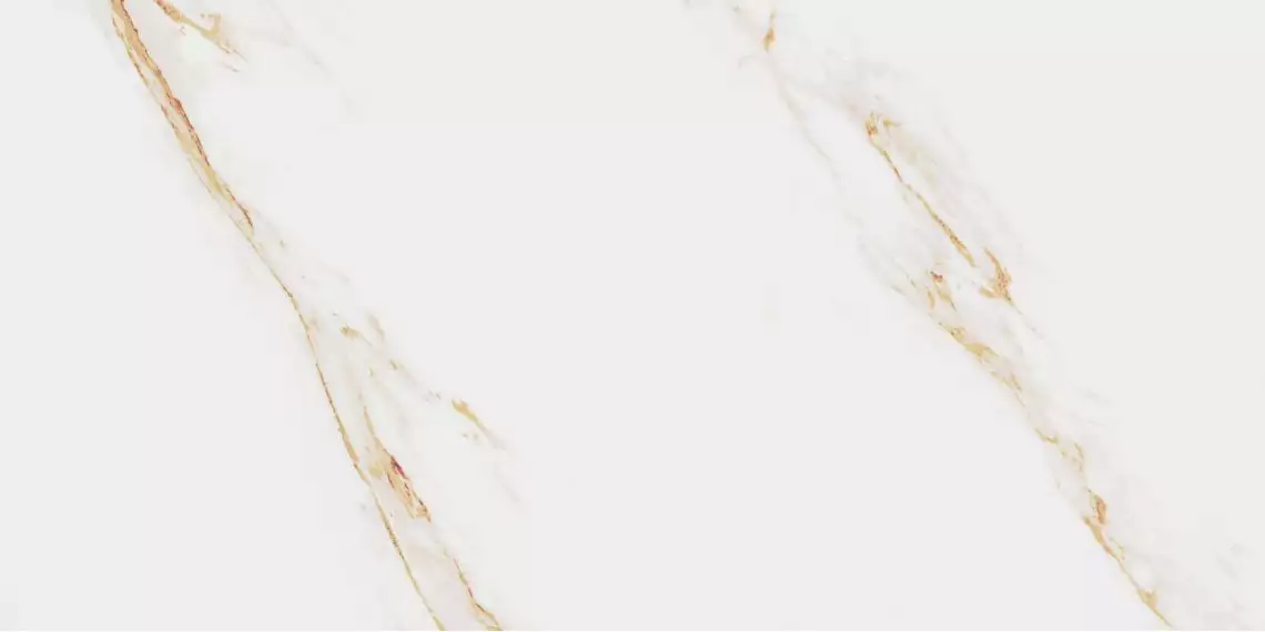 Aureus 60x120