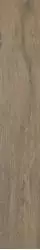 Aveiro Beige Rekt 19.8х119.8