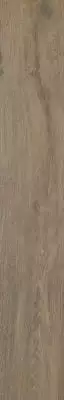 Aveiro Beige Rekt 19.8х119.8