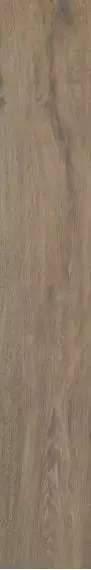 Aveiro Beige Rekt 19.8х119.8