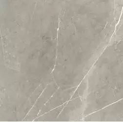 BB6NTT9102P Bright And Shiny 60x60