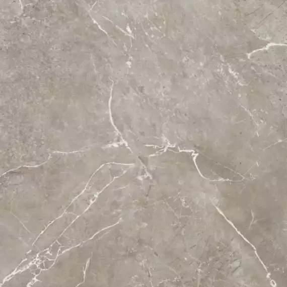 BIEN0038 Imperial Glossy Grey Rec 600x600x8,5