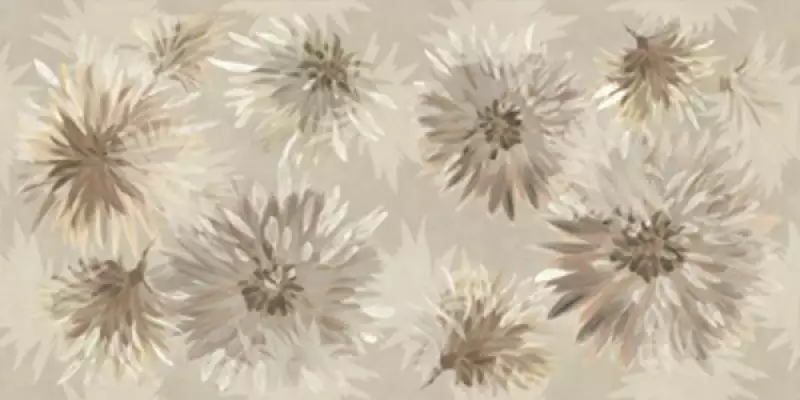 BLOOM6 12 RM 60x120