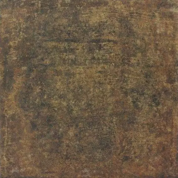 BOLONIA COTTO 20*20