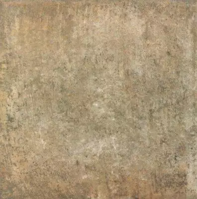 BOLONIA OCRE 20*20