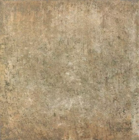 BOLONIA OCRE 20*20